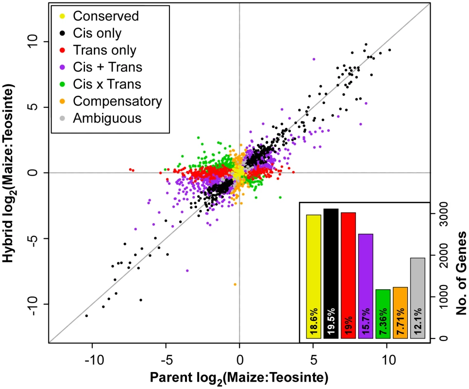 Log<sub>2</sub> of parent versus hybrid ear tissue allele-specific expression ratios.