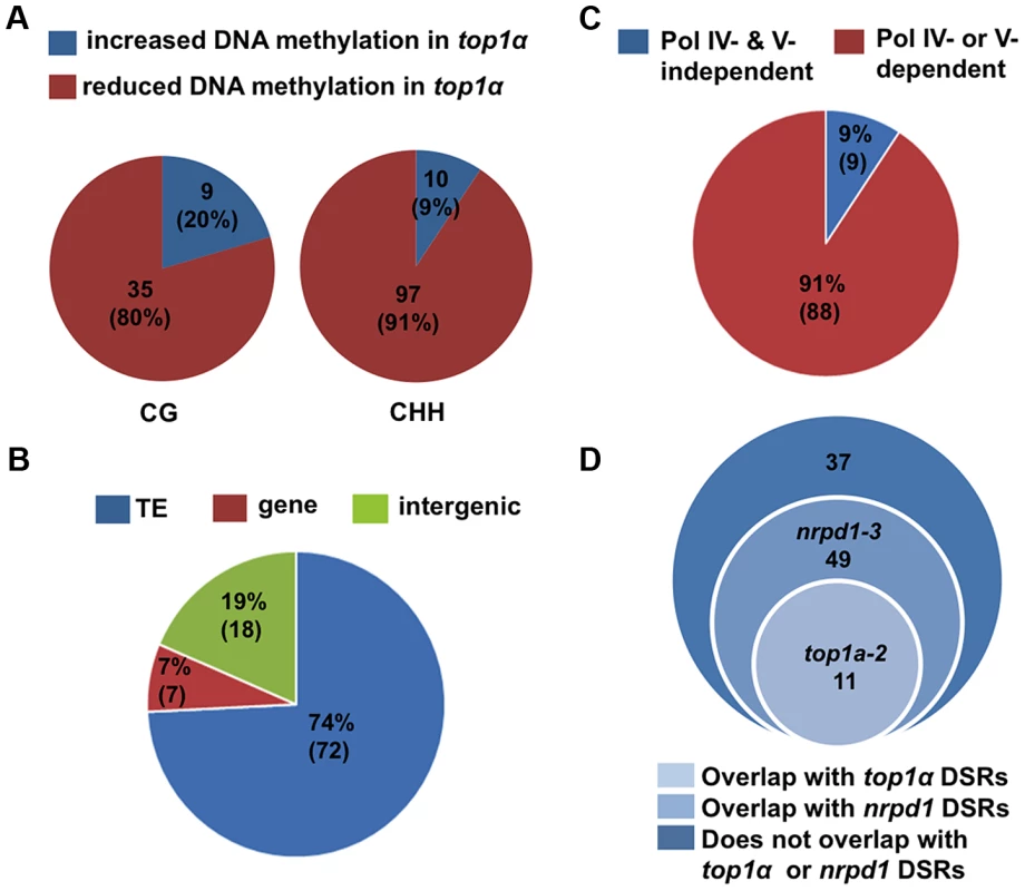 <i>TOP1α</i> does not globally impact DNA methylation but promotes CHH methylation at a small number of loci.