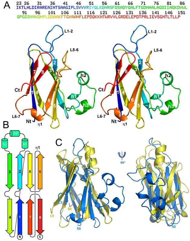 Structure of the enteroaggregative <i>E. coli</i> T6SS TssJ subunit.