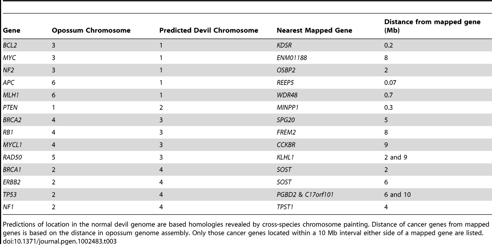 Predicted location of common tumour suppressor genes and oncogenes in the devil genome.