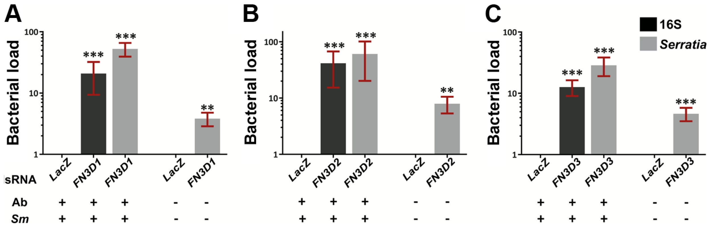Silencing of <i>FN3D1–3</i> increases <i>Serratia</i> levels in orally infected mosquitoes or mosquitoes retaining their natural gut microbiota.