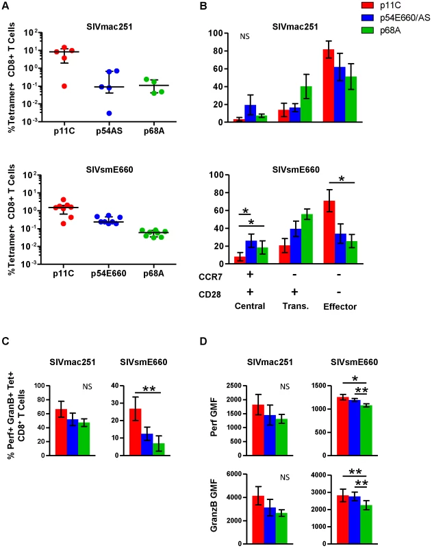 Phenotype and cytotoxic potential of dominant and subdominant epitope-specific cells during chronic SIVmac251 and SIVsmE660 infection.