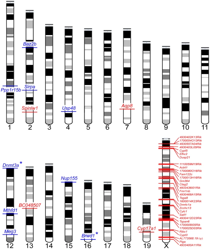 Forty-five sterility-correlated genes with patterns of expression robust to differences in testis cellular composition between fertile and sterile males.