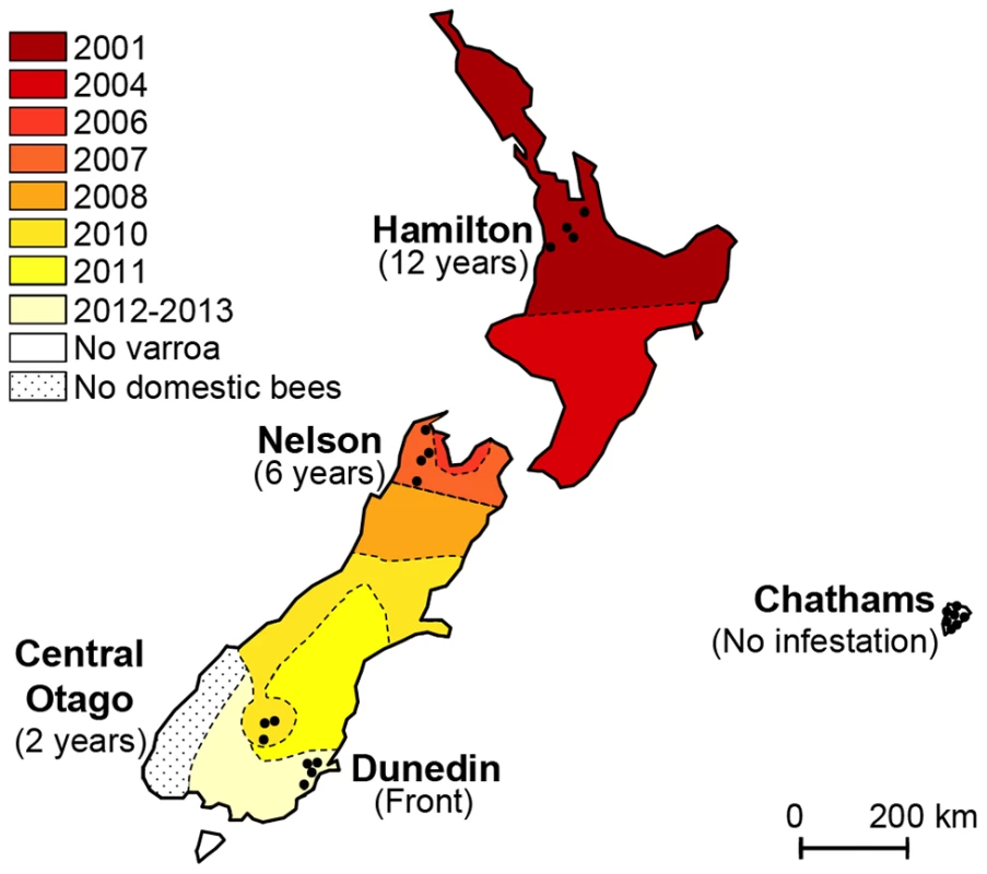 Map illustrating the spread of <i>Varroa</i> across New Zealand and the location of sampling sites.