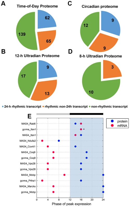 Comparative analysis of the murine SCN transcriptome and proteome.