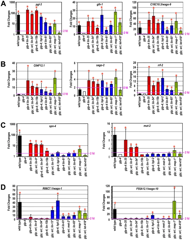 Different synMuv B classes distinctly repress P granule and RNAi genes in the soma.