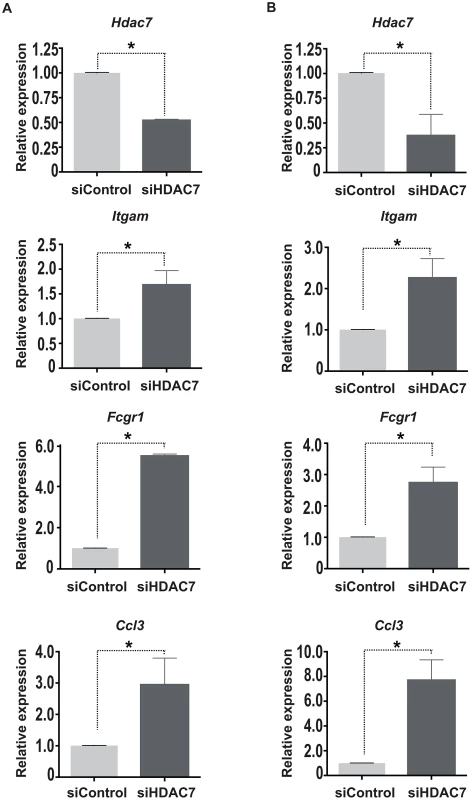 HDAC7 knock down leads to the de-repression of macrophage genes.