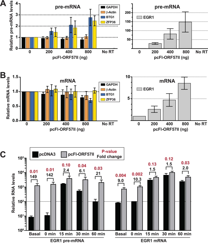 ORF57 is sufficient to up-regulate candidate pre-RNAs in HEK293 cells.