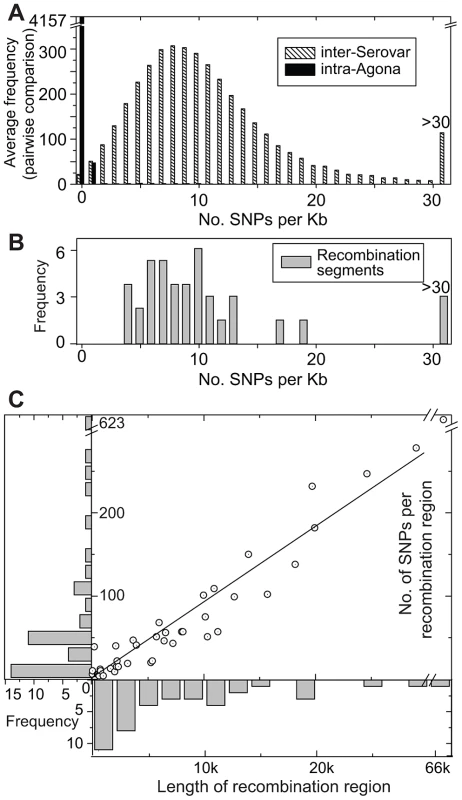 SNP densities in recombinant and non-recombinant regions of the Agona core genome.