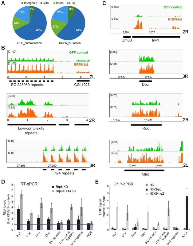 Genome-wide effects of RRP6 depletion on the transcriptome of S2 cells.