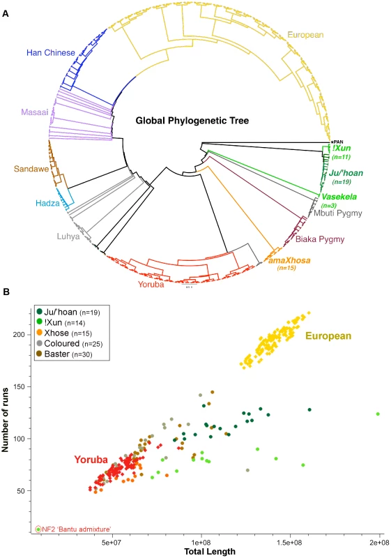 Relatedness and demographic history of the Ju/'hoan to global populations defines early divergence and genomic impact of forager existence.