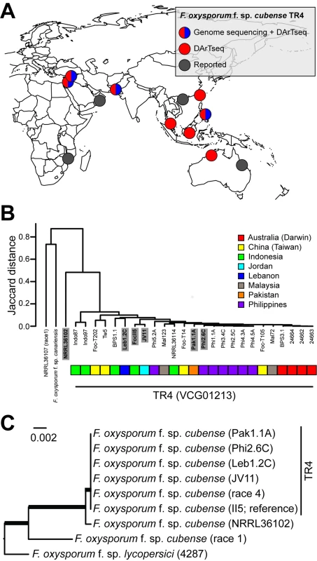 Phylogeography of <i>F</i>. <i>oxysporum</i> f. sp. <i>cubense</i> Tropical Race 4 (TR4).