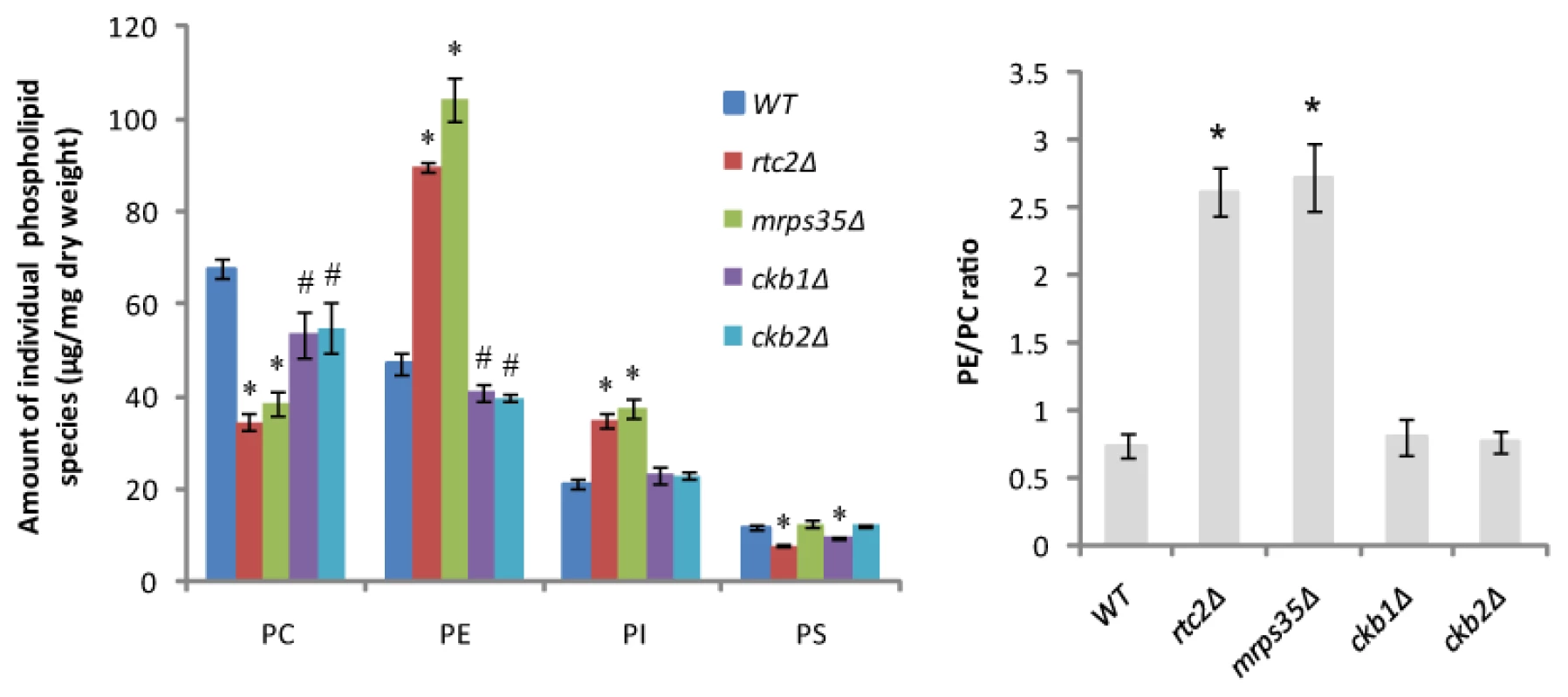 <i>rtc2Δ</i> and <i>mrps35Δ</i> strains exhibit a higher PE/PC ratio.