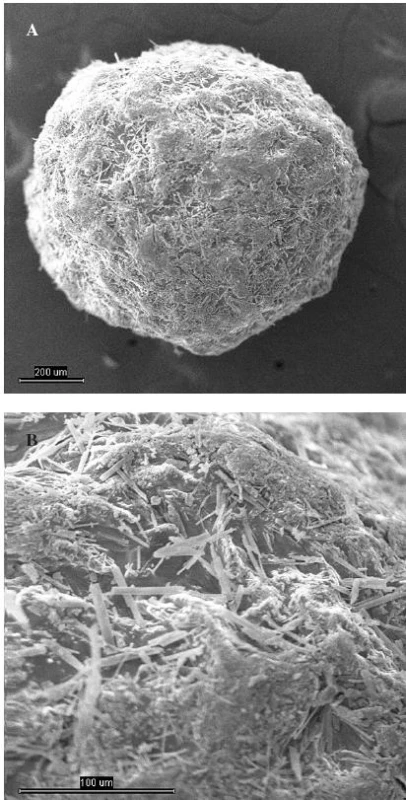Snímek mikročástice šarže 1 z elektronového mikroskopu
A – celá mikročástice, měřítko 200 μm, B – detail povrchu mikročástice, měřítko 100 μm