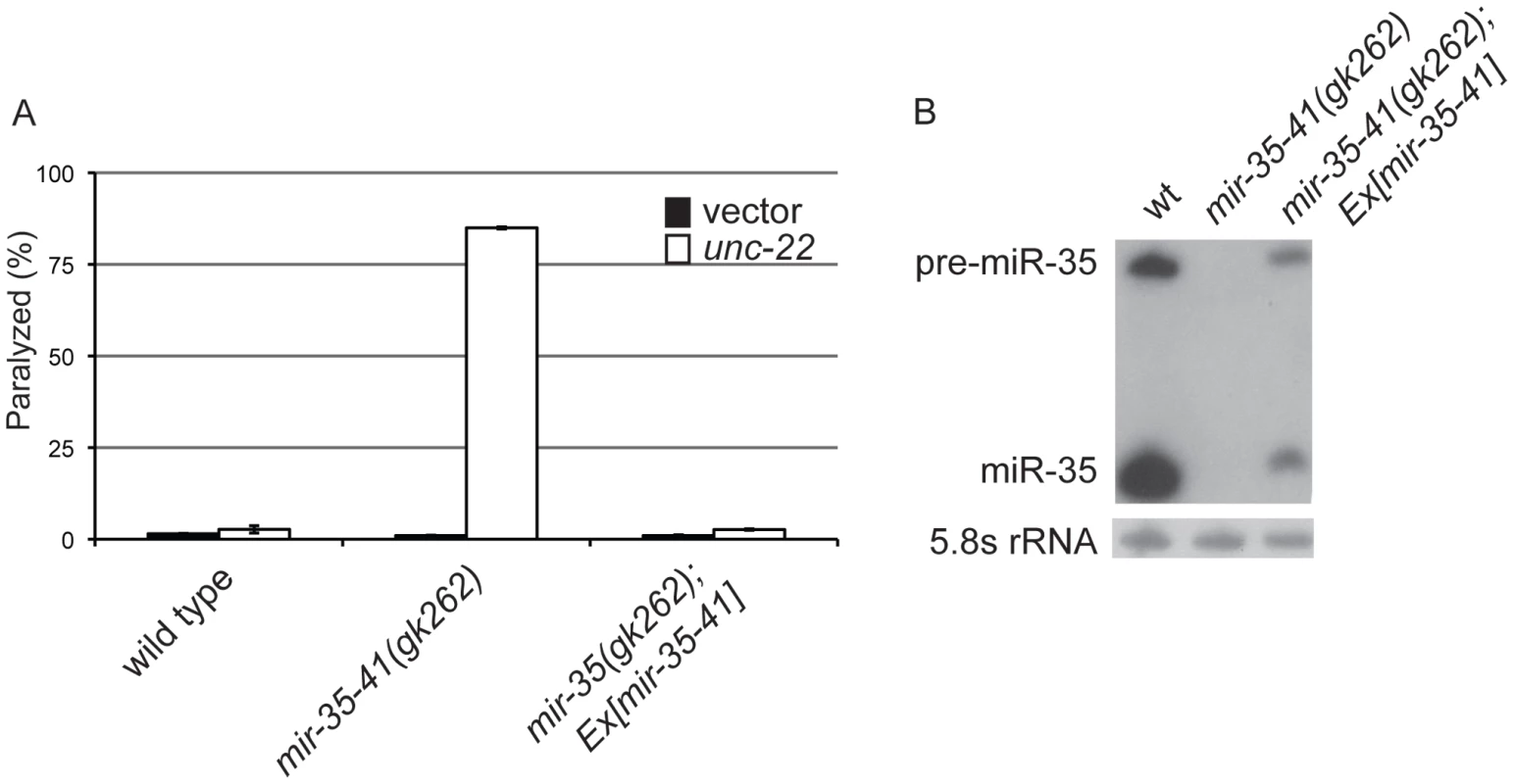 Deletion of the <i>mir-35-41</i> miRNA cluster results in RNAi hypersensitivity.