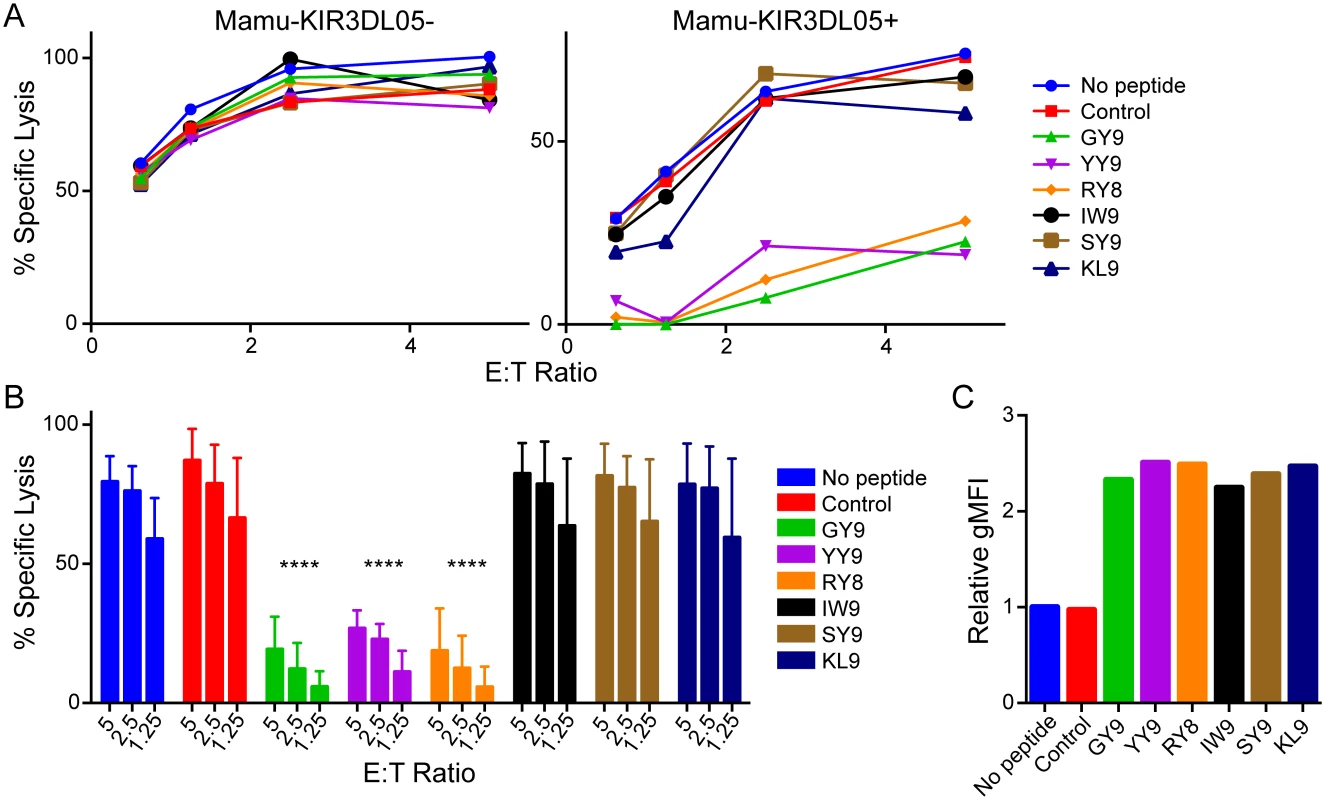 Peptide-dependent inhibition of Mamu-KIR3DL05<sup>+</sup> NK cells.