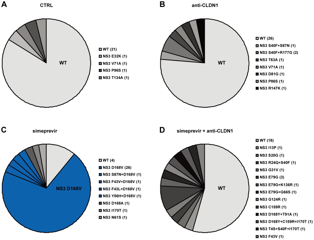 Mutational analysis of viral variants with treatment of protease inhibitors or/and HTEIs in the long-term HCV infection assay.