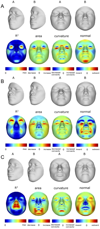 Transformations and heat maps showing how face shape is affected by three particular RIP-G variables.