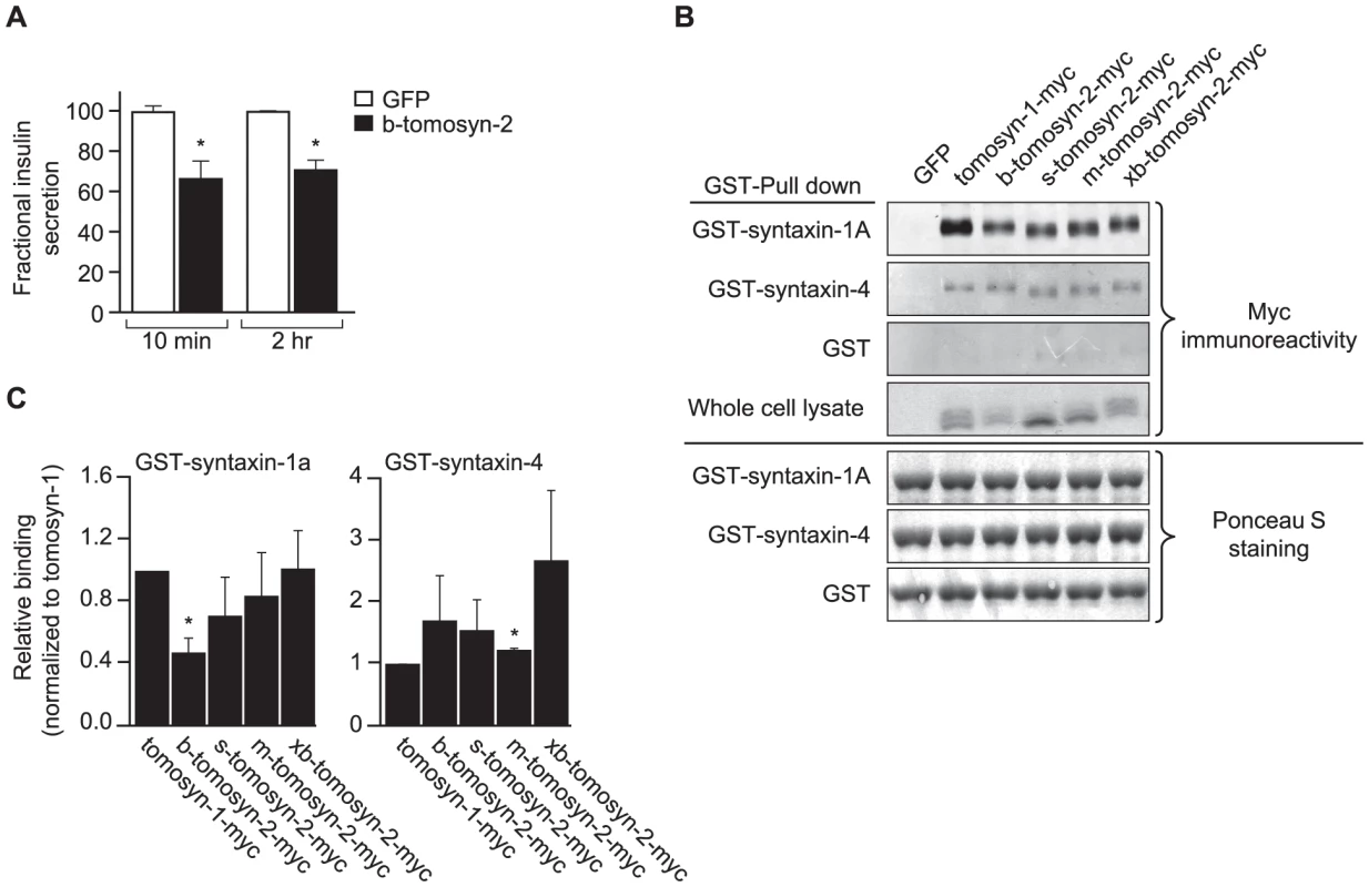 Overexpression of tomosyn-2 inhibits insulin secretion in INS1 (832/13) cells and binds syntaxin-1A and -4.