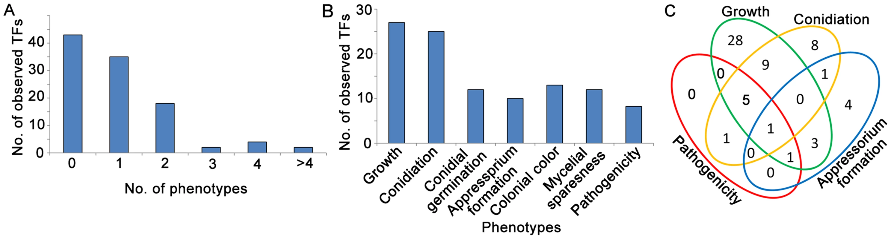 Analysis of Zn<sub>2</sub>Cys<sub>6</sub> transcription factor mutant phenotypes in fungal development stages.