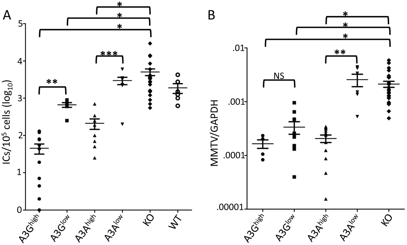 A3A and A3G restrict murine retrovirus infection <i>in vivo</i>.