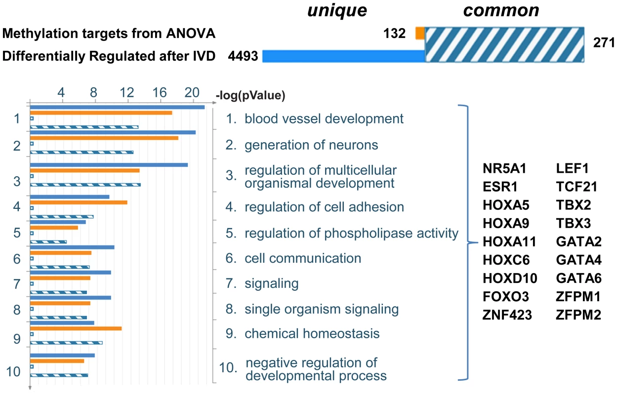 Summary of statistical comparison between ANOVA identified genes and genes differentially expressed after IVD.