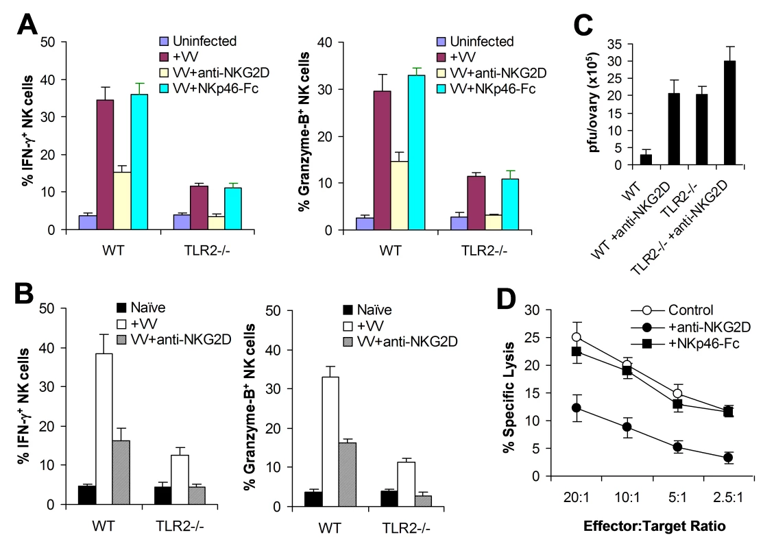 The NKG2D pathway is required for efficient NK activation and function in response to VV infection.