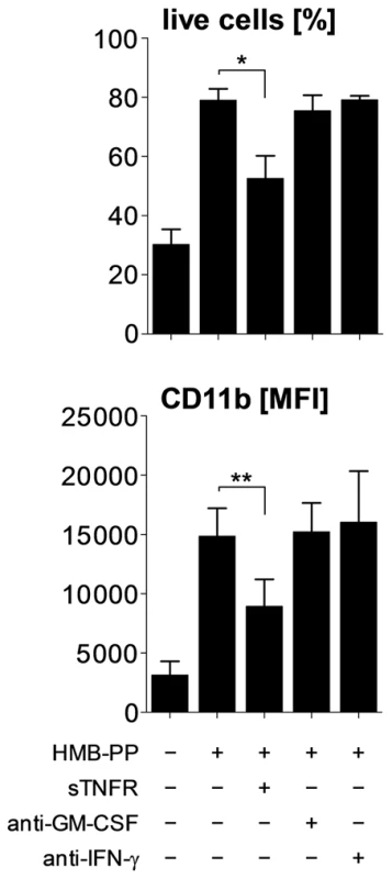 HMB-PP stimulated Vγ9/Vδ2 T cells induce neutrophil survival and activation through TNF-α.