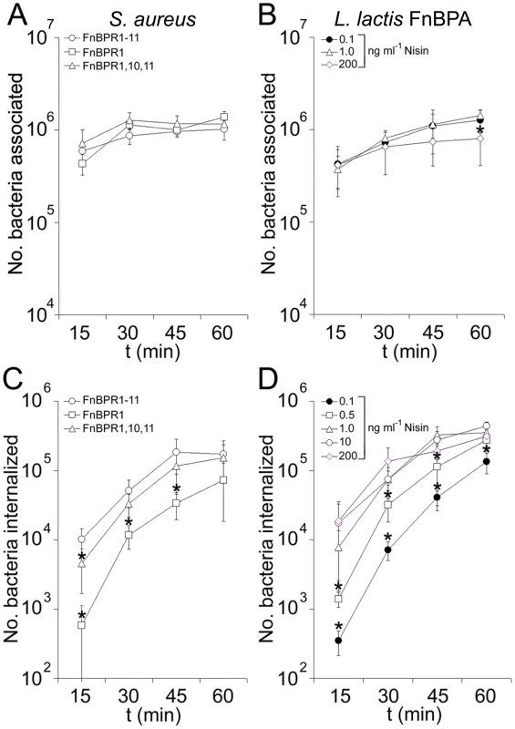 FnBPA composition and expression level modulate the rate of bacterial internalization.