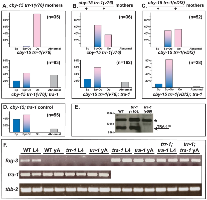 TRR-1 acts through TRA-1 to promote spermatogenesis and <i>fog-3</i> expression.
