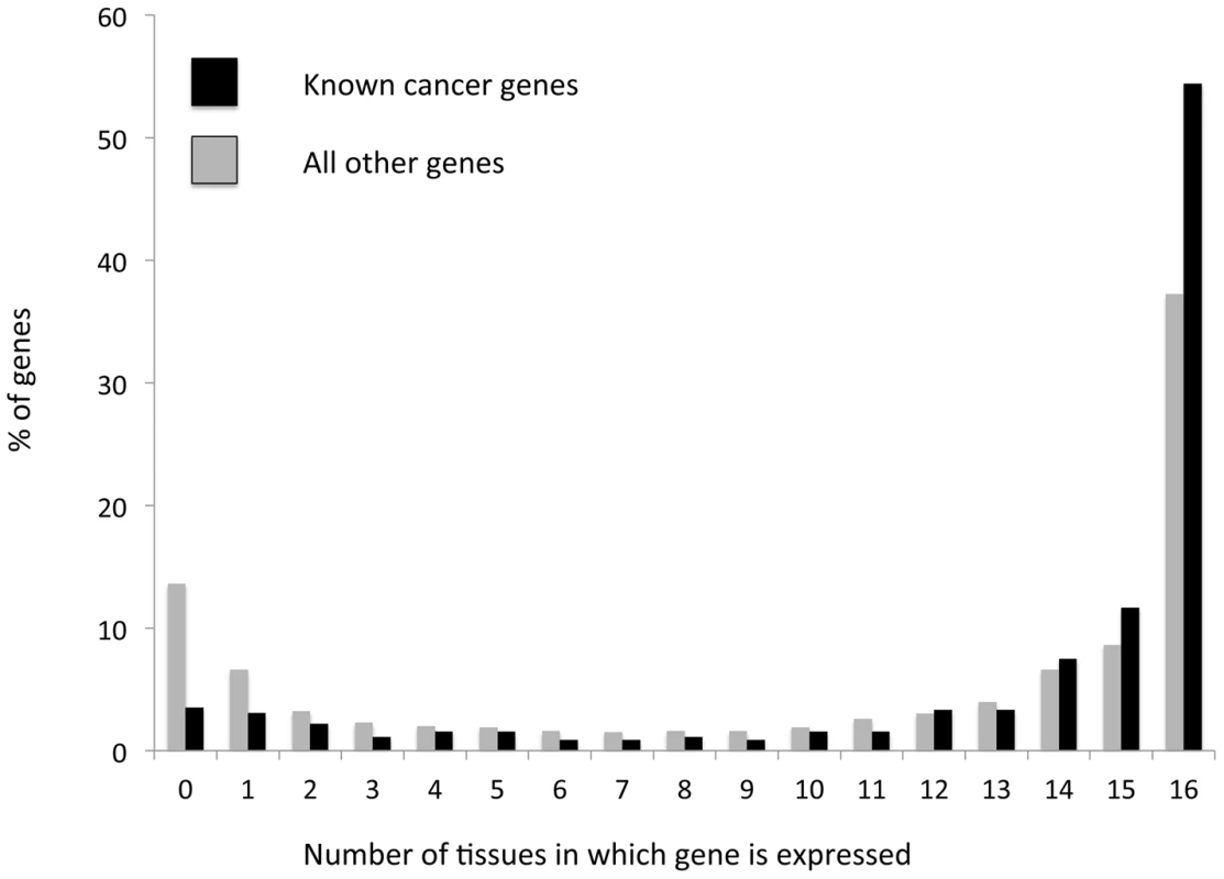 Cancer-associated genes tend to more frequently be globally expressed, and less frequently be expressed in a tissue specific manner than other genes.