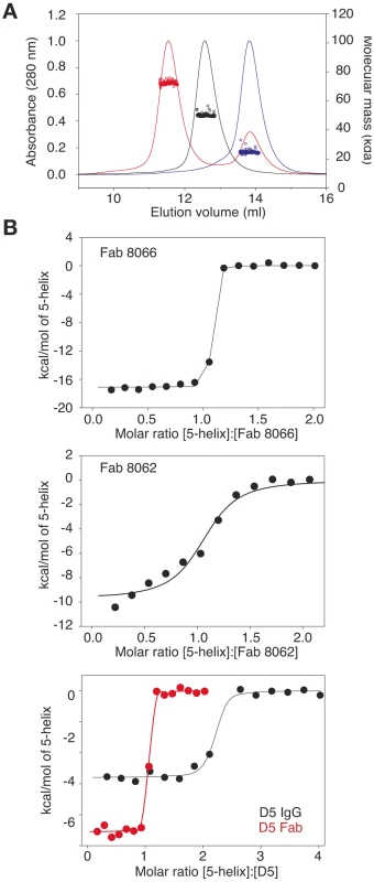 Characterization of the interaction of Fab 8066, Fab 8062 and the D5 antibody with 5-Helix.