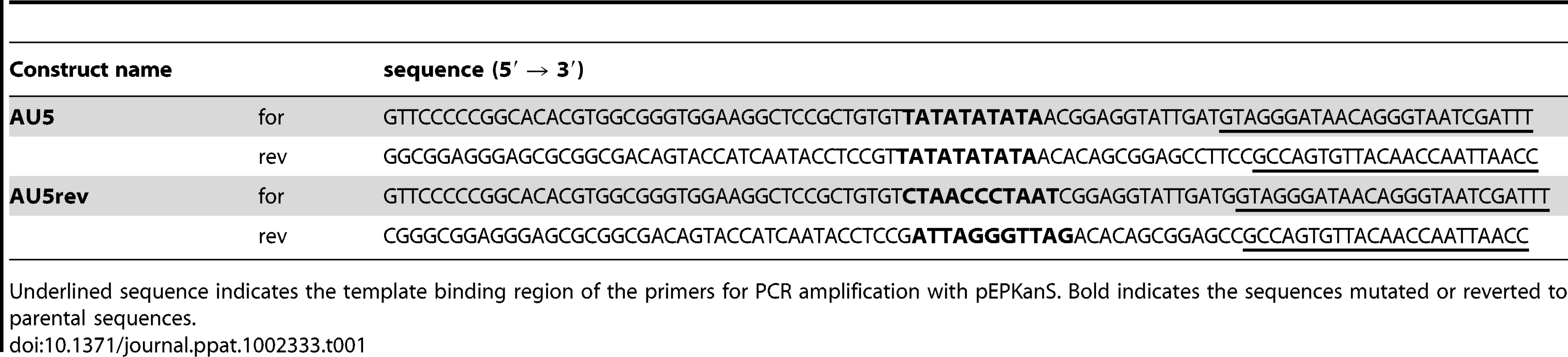 Primers used for cloning and generation of mutant and revertant AU5 constructs.