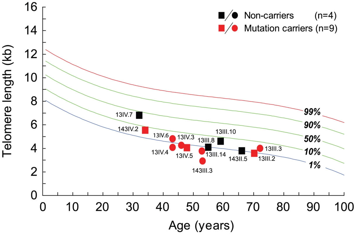 Telomere length in mutation carriers in families 13 and 143 have short telomeres compared to age-matched controls.