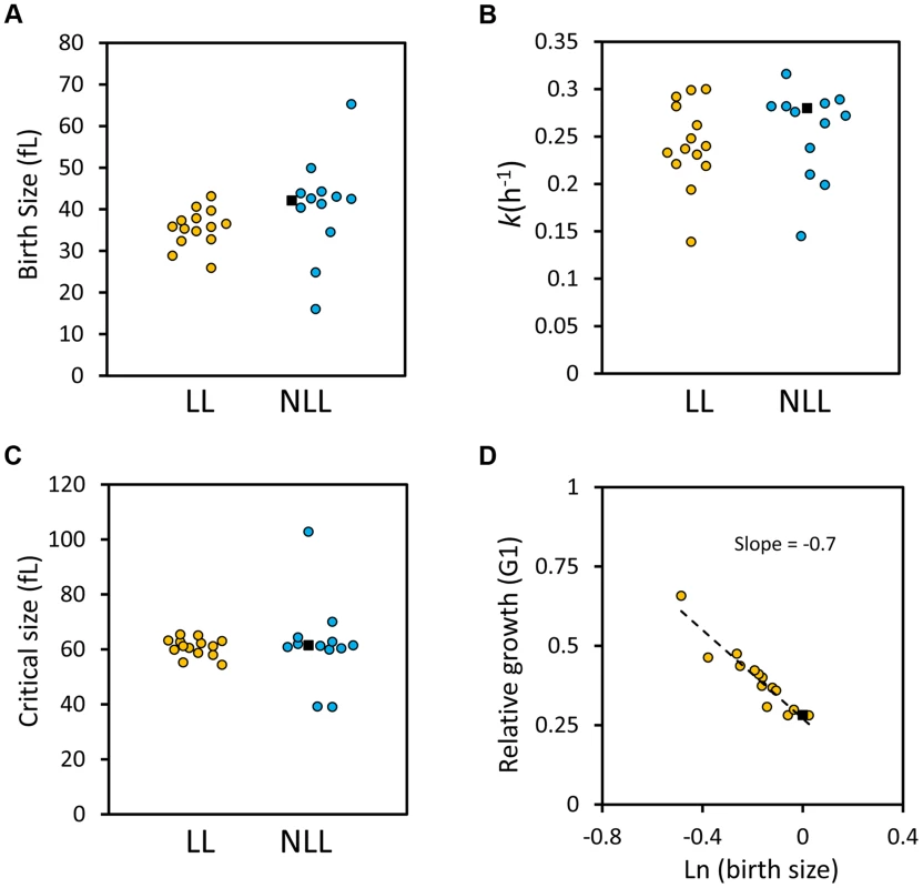 G1 phase cell cycle parameters of LL and NLL strains.