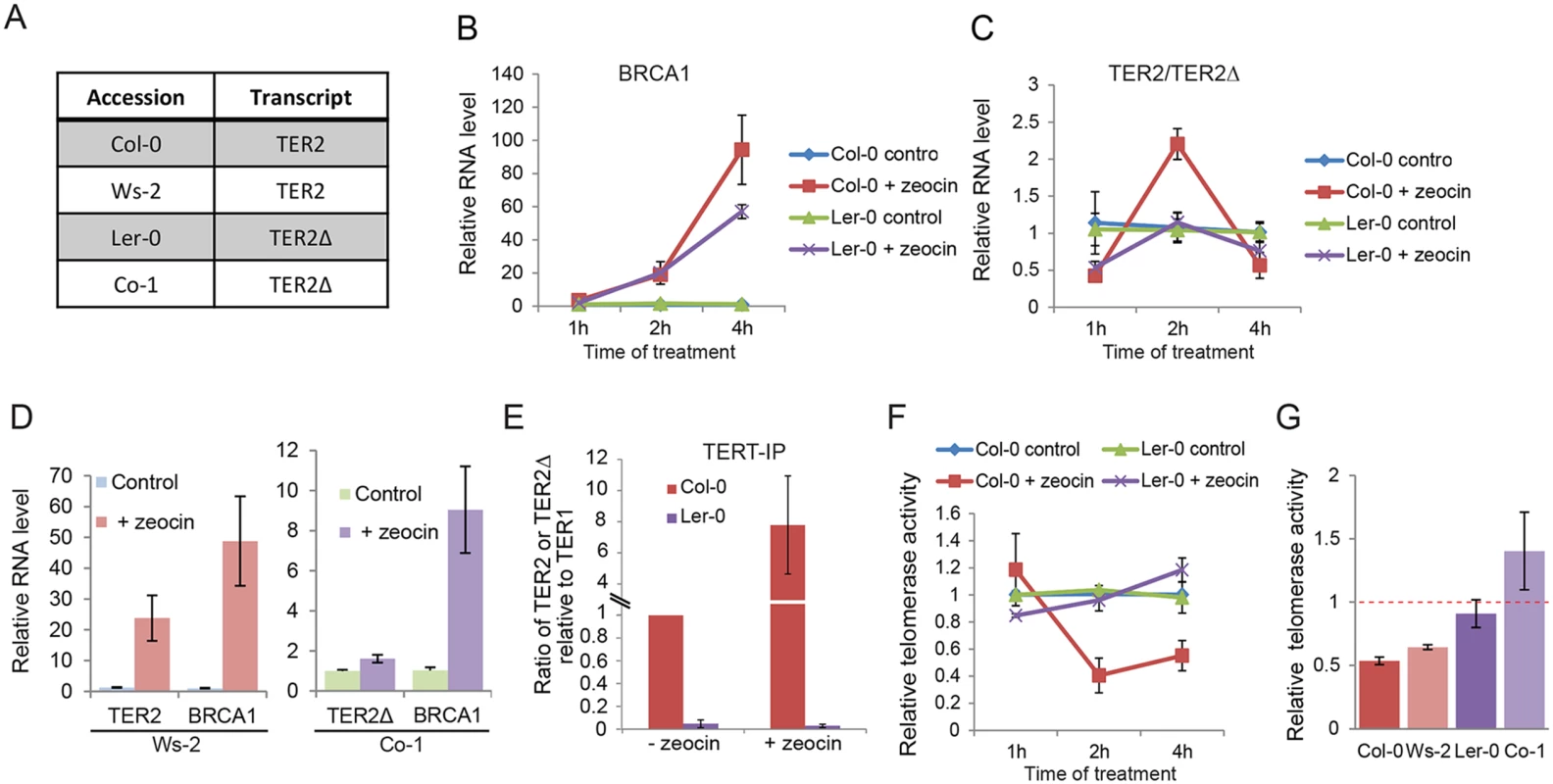 DSB-mediated RNA induction and telomerase inhibition are associated with DRE.