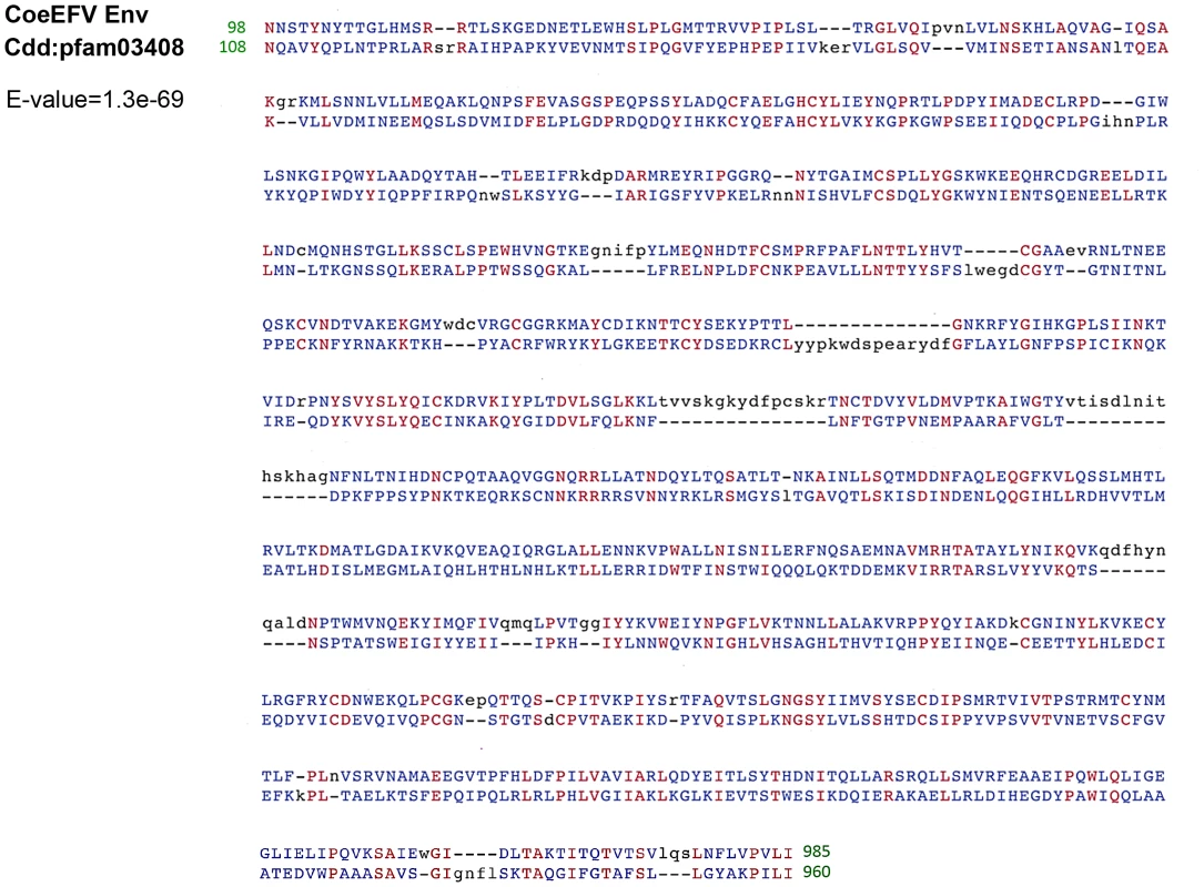 Conserved domain alignment of the CoeEFV Env protein and foamy virus envelope protein domain (pfam03408).