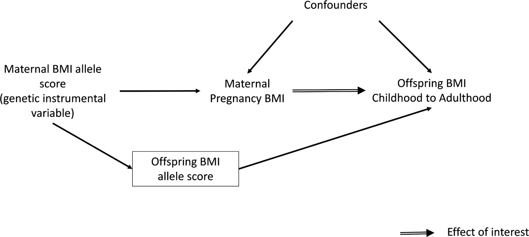 Intergenerational MR analysis to investigate a causal intrauterine effect of maternal BMI on offspring adiposity.