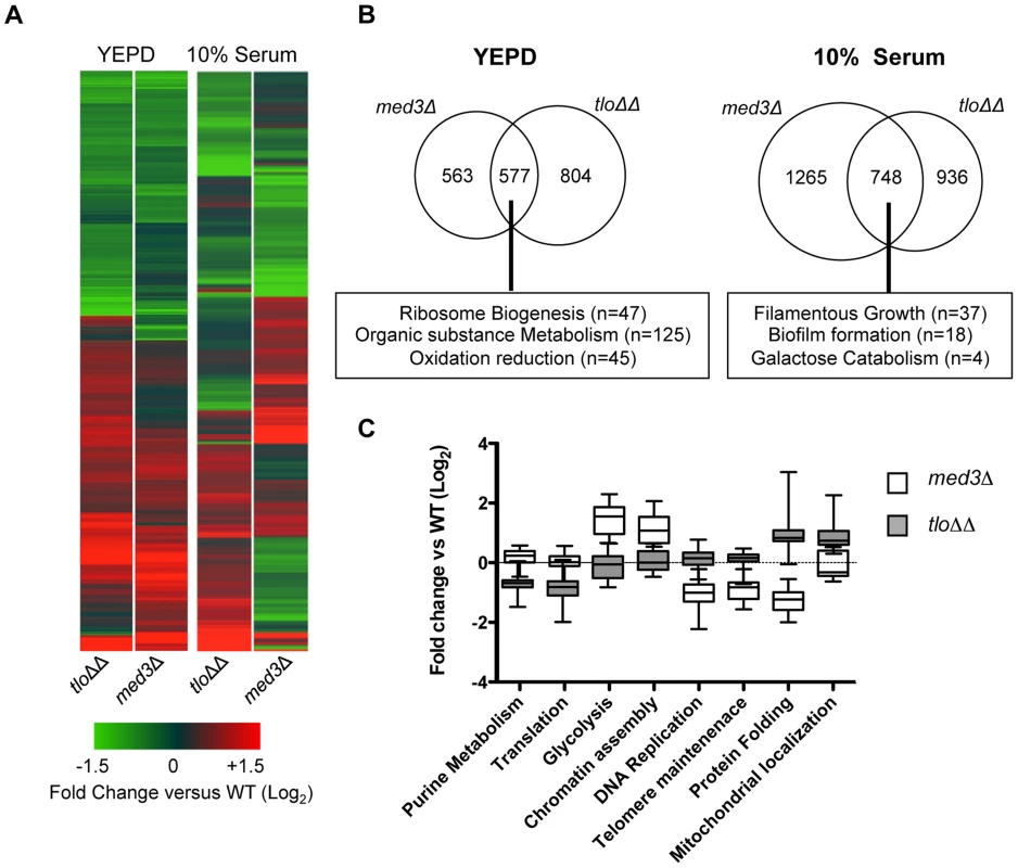 Microarray gene expression profiling of the <i>med3</i>Δ mutant in YEPD and 10% (v/v) serum.
