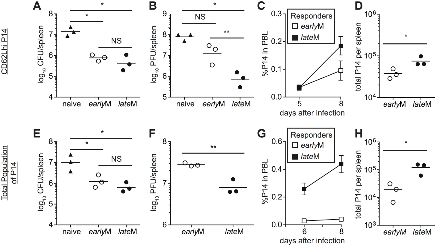 <i>late</i>M cells provide better protection than <i>early</i>M cells following LCMV clone-13 infection.