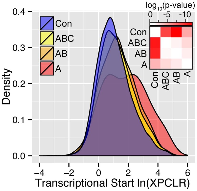 Density plots of the ln(XPCLR) score for the union of conserved versus CCT candidate genes across tissues.