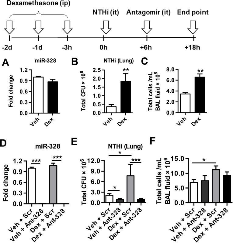 Inhibiting miR-328 enhances bacterial clearance in dexamethasone-mediated immune suppressed mice.