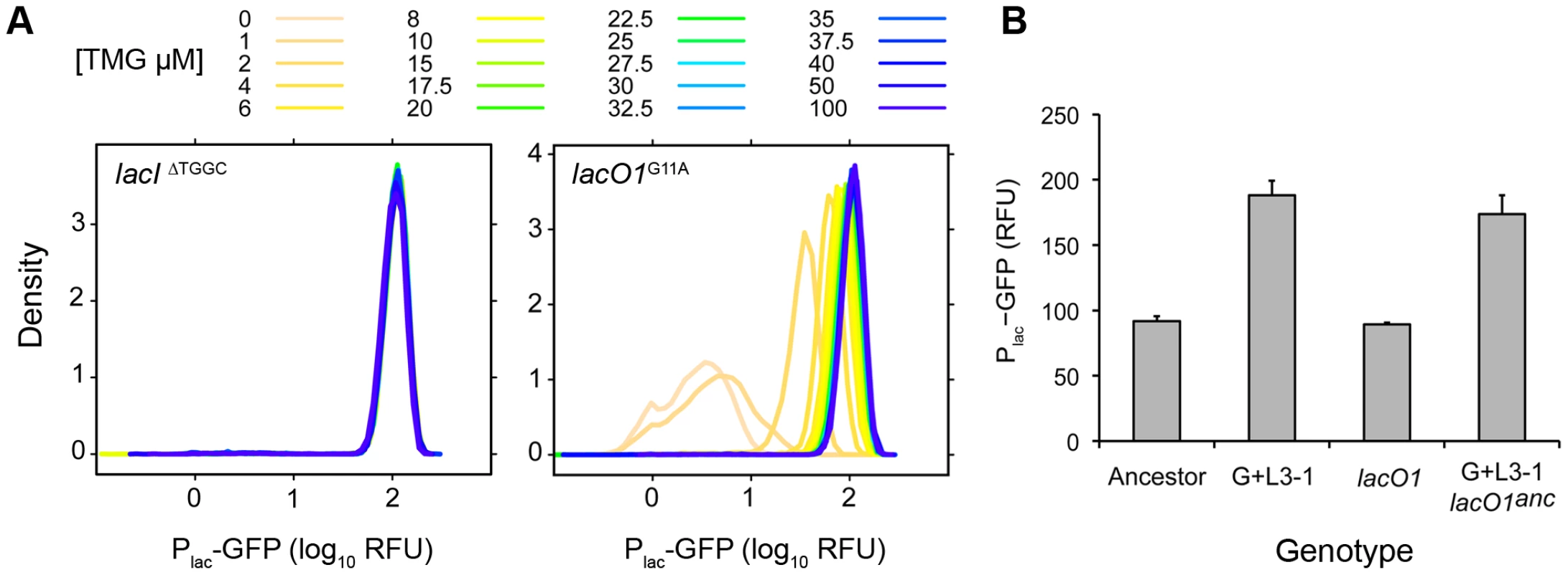 Contribution of <i>lac</i> mutations to evolved inducer responses.