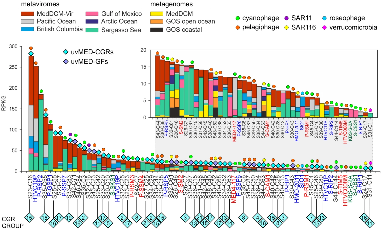 Comparative fragment recruitment of CGRs, GFs contigs (genome fragments of incomplete phage genomes) and representative cultivated phage genomes.