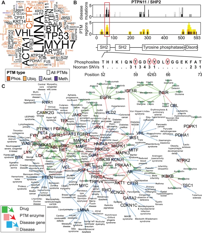 Enriched disease mutations and drug interactions of PTM regions.