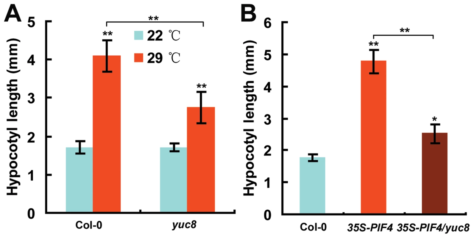 The <i>yuc8</i> Mutation Reduces the Induction of Hypocotyl Elongation by High Temperature and <i>PIF4</i> Overexpression.