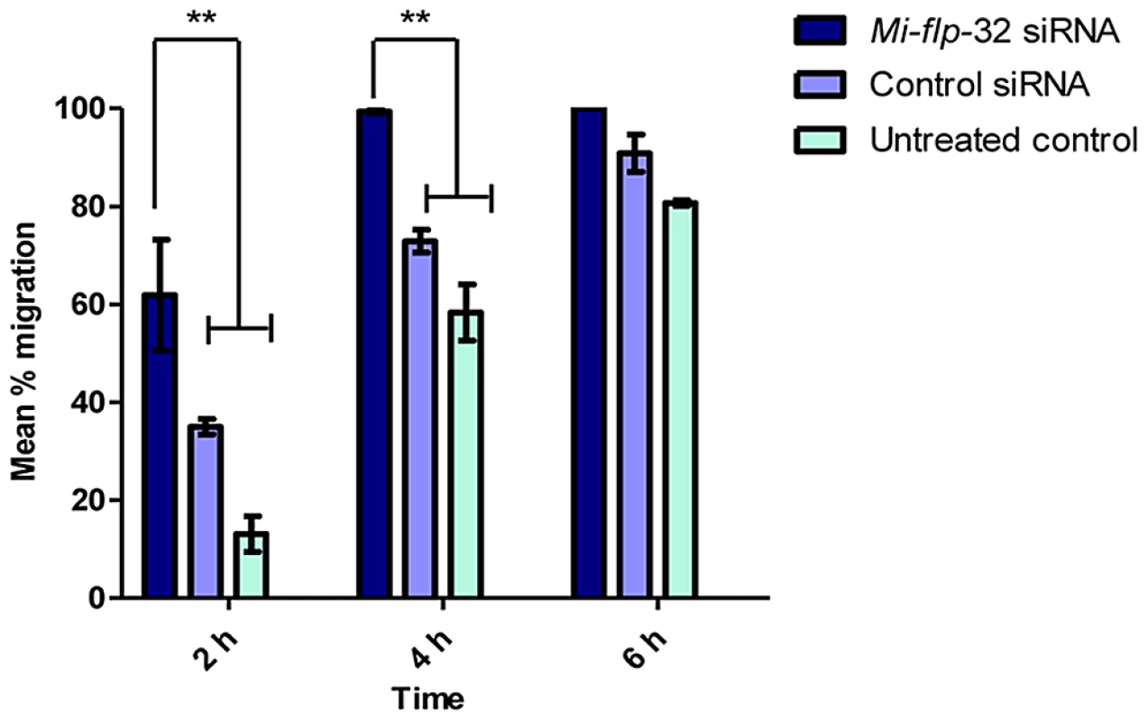 <i>Meloidogyne incognita flp</i>-32 (<i>Mi-flp</i>-32) silenced nematodes exhibit accelerated migration rates.