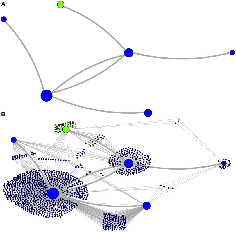 Ancestry networks of <i>Alu</i>Sc sequences.