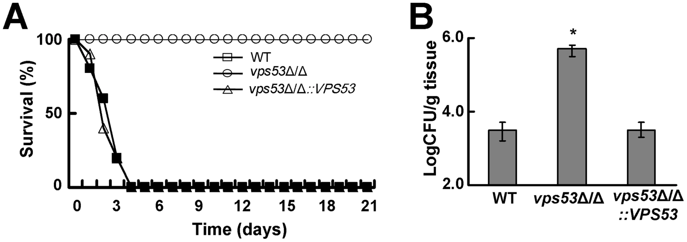 Deletion of <i>VPS53</i> causes reduced mortality and increased brain fungal burden during hematogenously disseminated candidiasis.