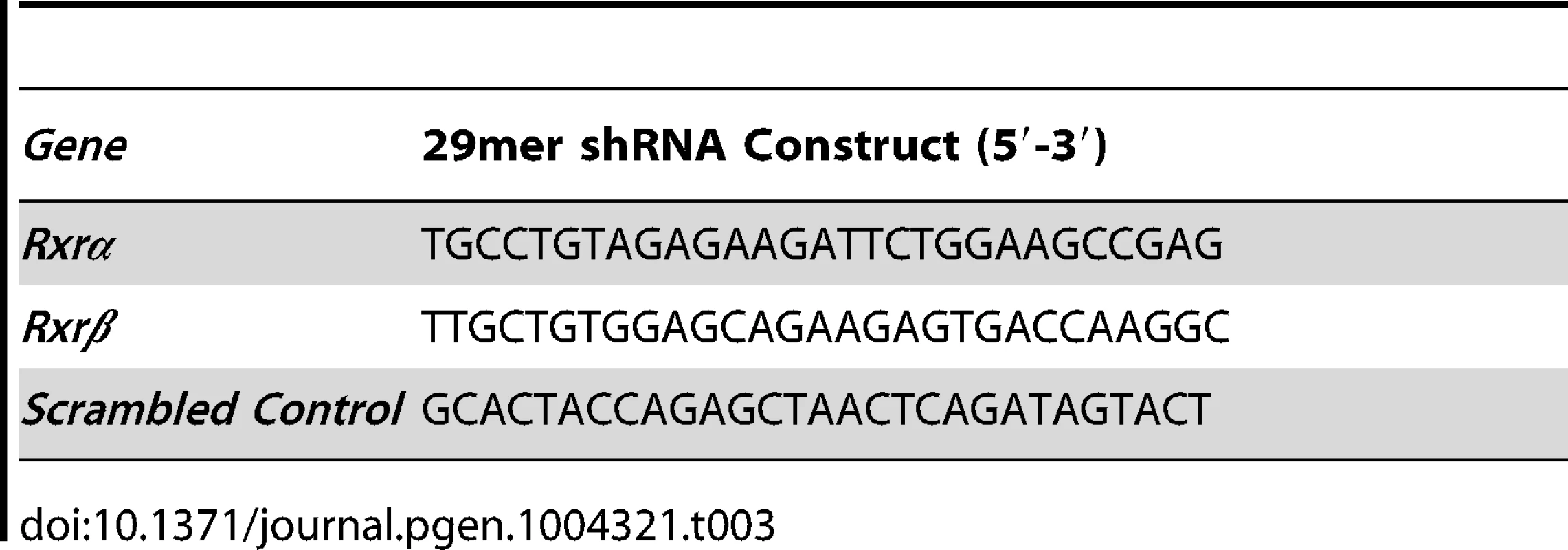 29mer shRNA constructs used for gene knockdown studies.